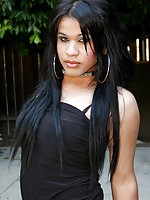 travesti or travestis or shemale or shemales or transexual or t